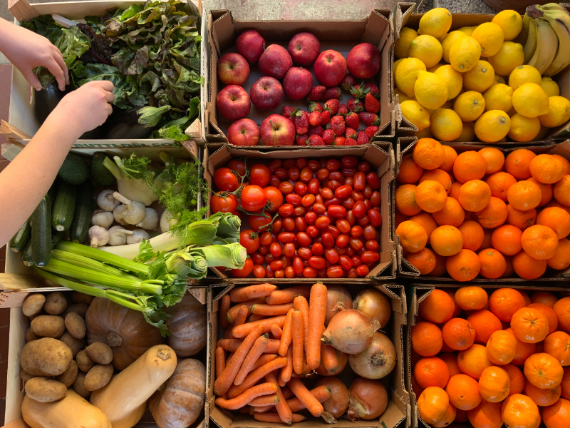 Programa Troca Verde: Ajude a natureza e receba alimentos saudáveis!