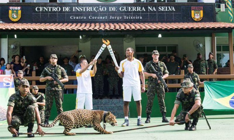 Onça é abatida em zoológico que recebeu tour da tocha olímpica