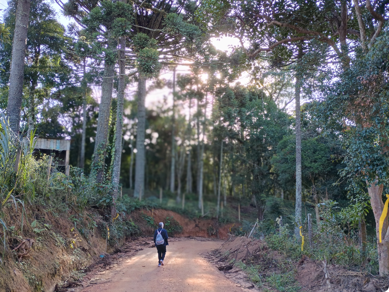 Mandirituba se prepara para a Caminhada na Natureza – Circuito Mãe da Mata no dia 6 de julho