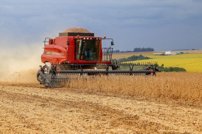 Estiagem causa R$ 16,8 bi em prejuízos no agro paranaense