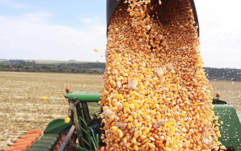 Paraná tem quatro municípios na lista dos 100 mais ricos do agronegócio