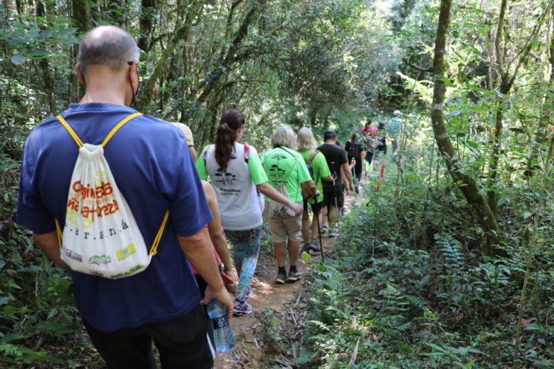 Circuito dos Faxinais: Caminhada Internacional da Natureza em Mandirituba