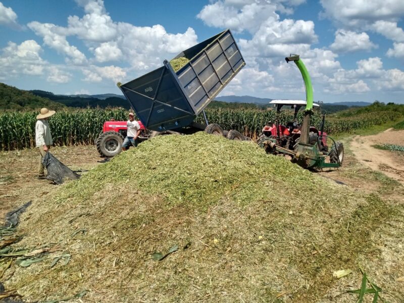 Secretaria de Agricultura e Meio Ambiente realiza Programa de Silagem para pequenos produtores rurais