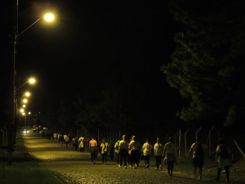 Caminhada da Natureza de São José dos Pinhais acontece neste sábado