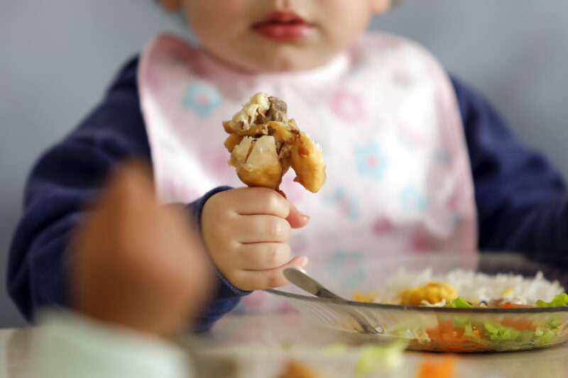 Cardápio da Alimentação Escolar está no site da Prefeitura