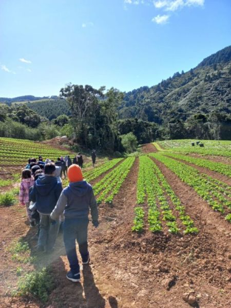 Alunos da rede municipal visitam lavoura de orgânicos