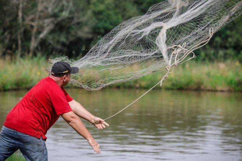 31ª Feira do Peixe Vivo se aproxima e piscicultores já estão nos preparativos para o evento