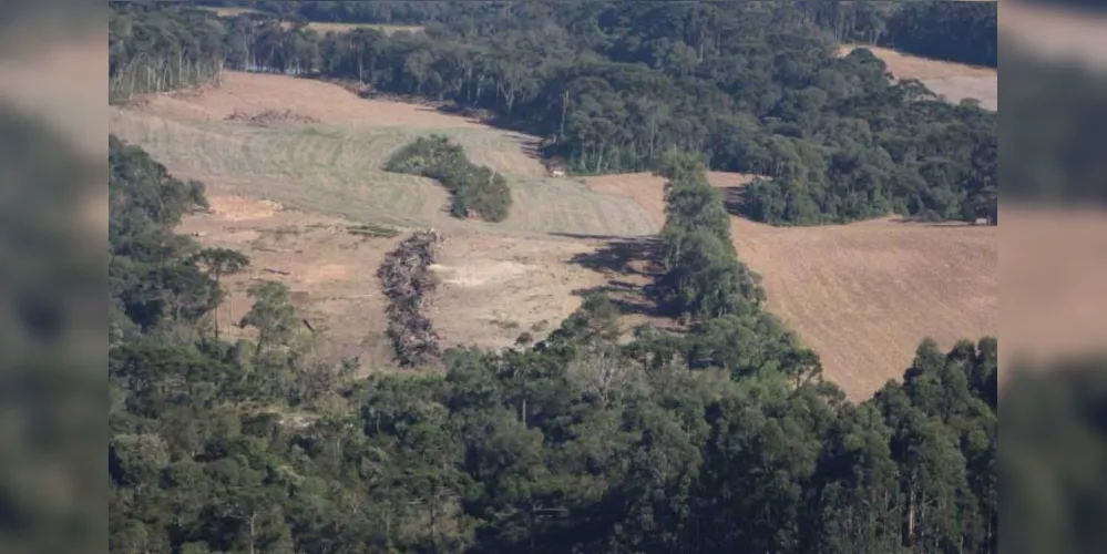 Caminhoneiro é assaltado e fica dois dias em mata no Paraná