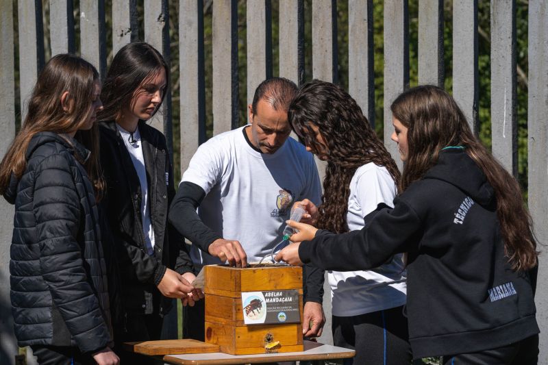 Colégio Agrícola da Lapa abraça projeto de abelhas nativas e leva tema às salas de aula