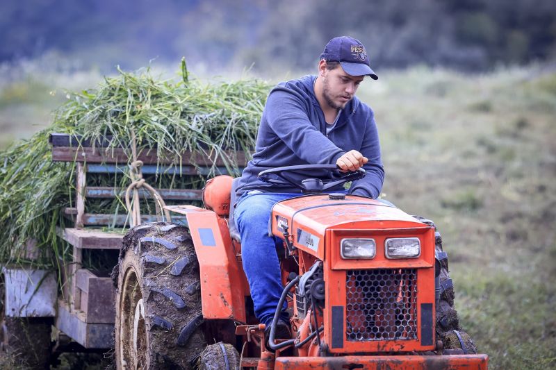 <strong>Apoio da Prefeitura de Araucária incentiva que jovens fiquem no campo e ganhem protagonismo na agricultura familiar</strong>