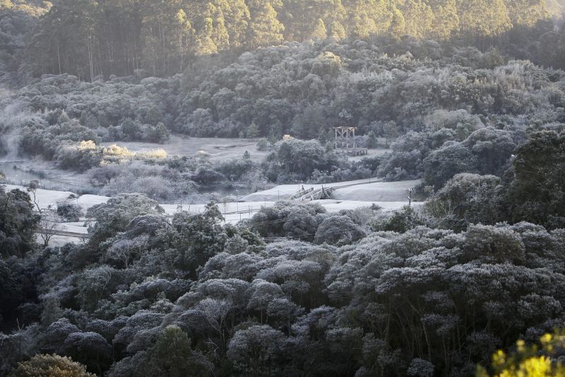 Com 900 novos casos por ano no Paraná, câncer de boca é o foco do Novembro Vermelho