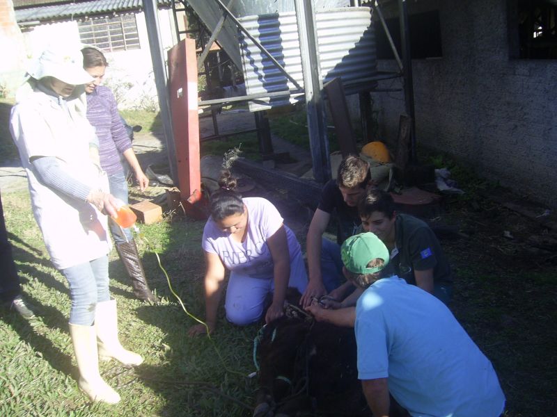 Mobilização: Paraná lança nova campanha de combate à dengue