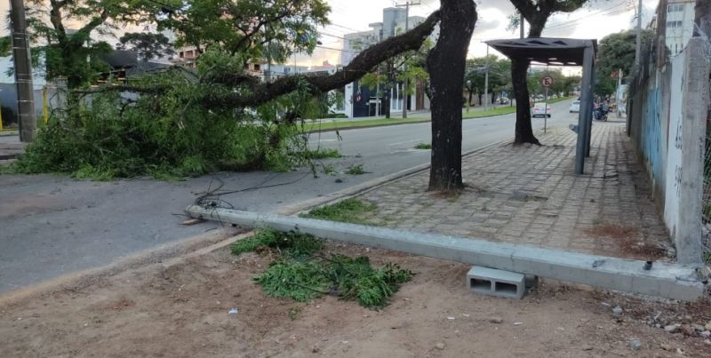 Árvore cai, derruba poste e bloqueia trânsito no Portão