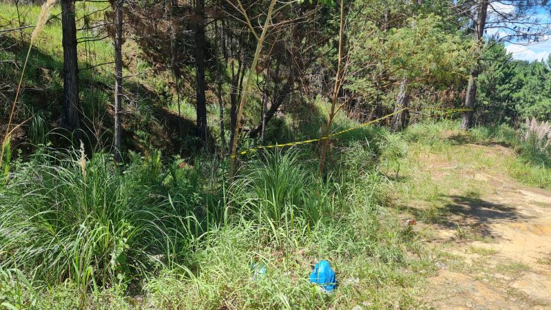 Corpo carbonizado é encontrado em Araucária