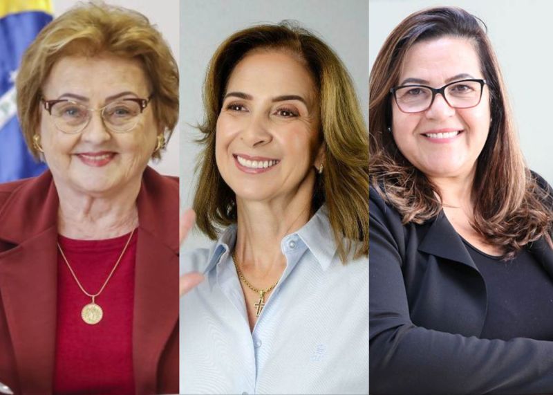 Mulheres na política: uma minoria