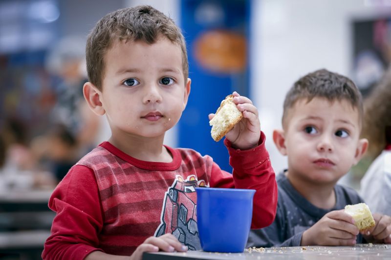 Teste de sabor: alunos de Araucária provam ricota de queijaria regularizada na merenda escolar