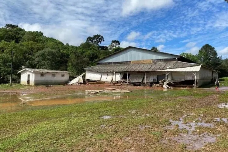 Foi encontrado o corpo de bebê de 2 anos levada por enchente em General Carneiro