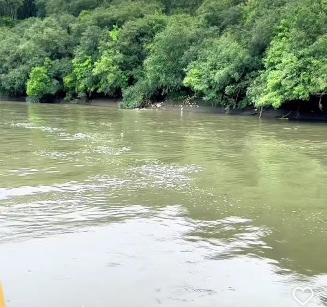 Corpo é encontrado no Rio Iguaçu na tarde de segunda-feira