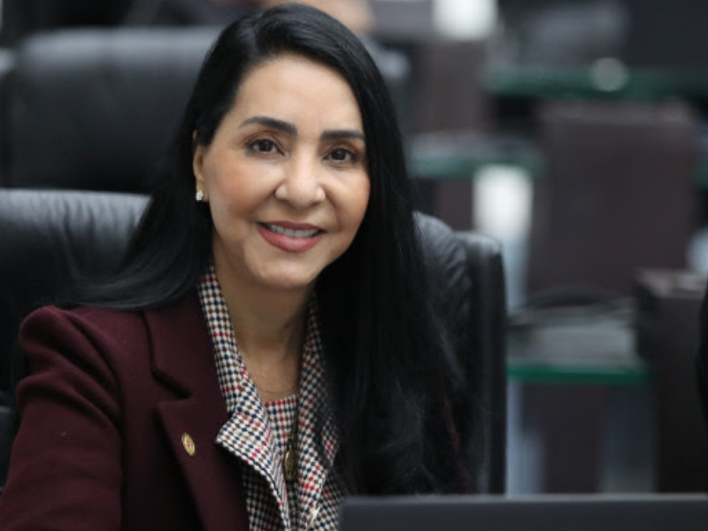No Junho Violeta, deputada Cantora Mara Lima (REP) destaca o combate à violência financeira contra os Idosos