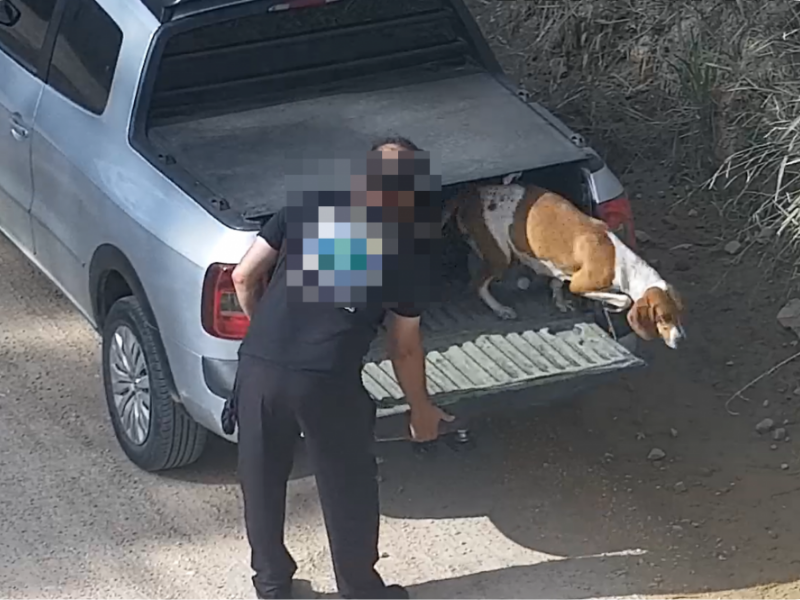 Homem é preso pela Guarda Municipal após abandonar cachorra em via pública