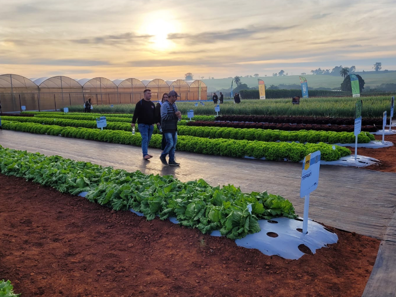 Prefeitura Araucária inscreve produtores rurais interessados em participar da 30.ª Hortitec