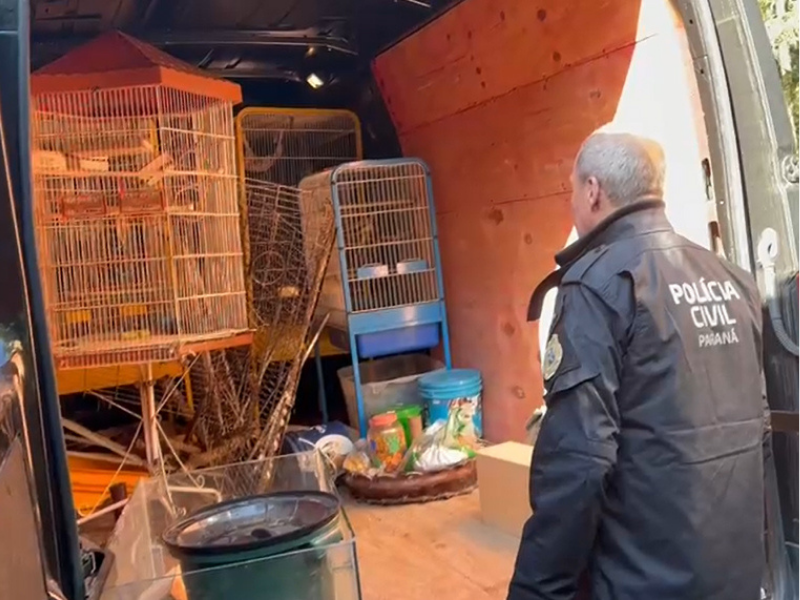 Mais de mil animais são resgatados em operação contra tráfico animal